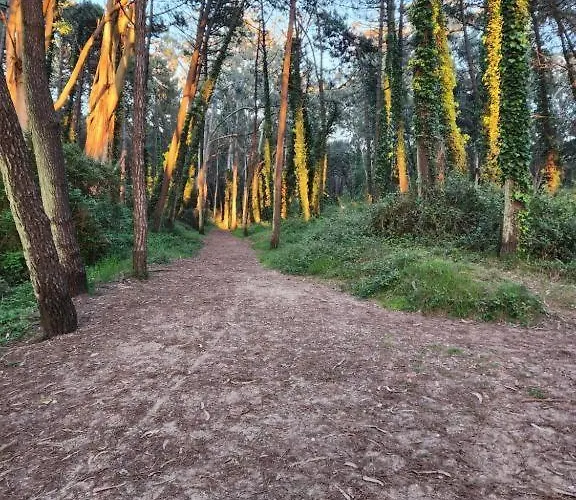 Playa San Juan 2 * Santa Cruz De Bezana