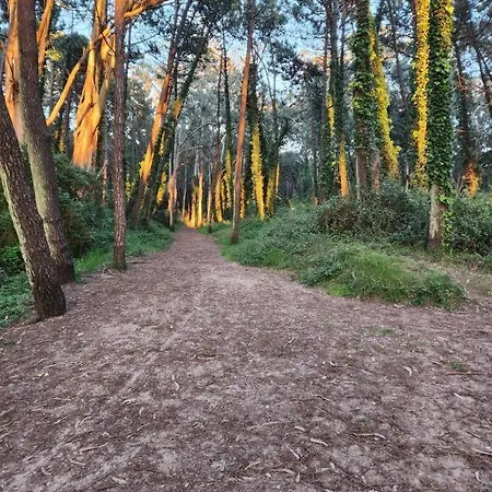 Playa San Juan 2 * Santa Cruz De Bezana